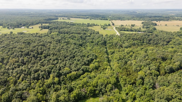 TBD Goat Rd, Niangua, MO 65713 - photo 34