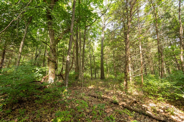 TBD Goat Rd, Niangua, MO 65713 - photo 16
