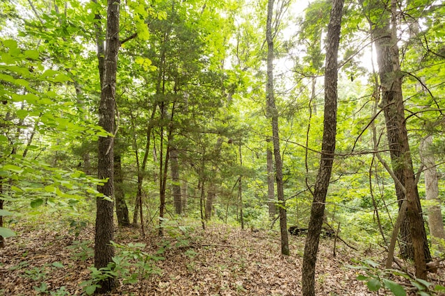 TBD Goat Rd, Niangua, MO 65713 - photo 7