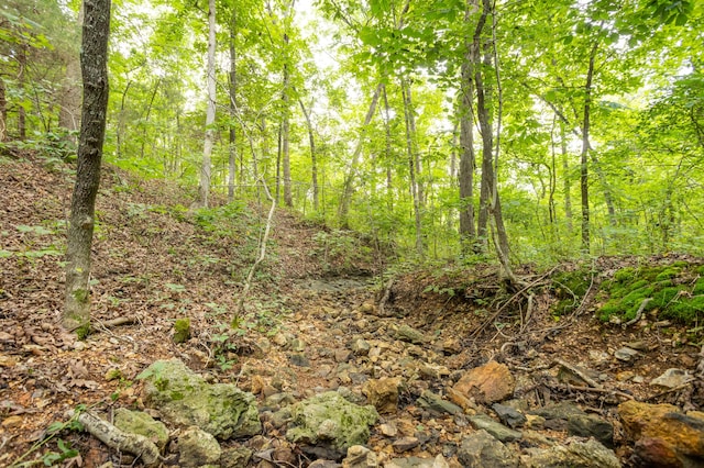 TBD Goat Rd, Niangua, MO 65713 - photo 9