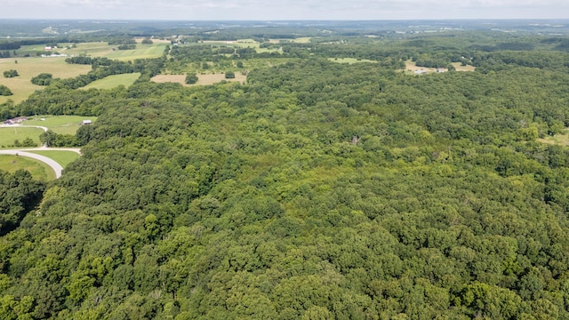 TBD Goat Rd, Niangua, MO 65713 - photo 31