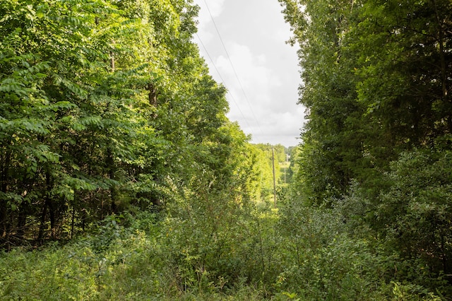 TBD Goat Rd, Niangua, MO 65713 - photo 18