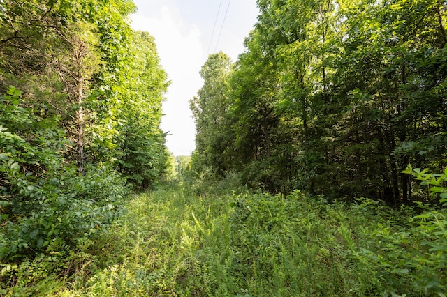TBD Goat Rd, Niangua, MO 65713 - photo 23