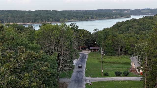 227 E Mockingbird Dr, Golden, MO 65658 - photo 18