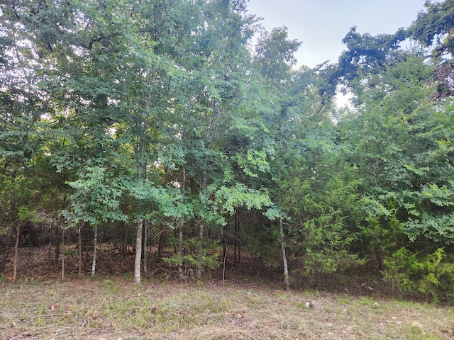 227 E Mockingbird Dr, Golden, MO 65658 - photo 3