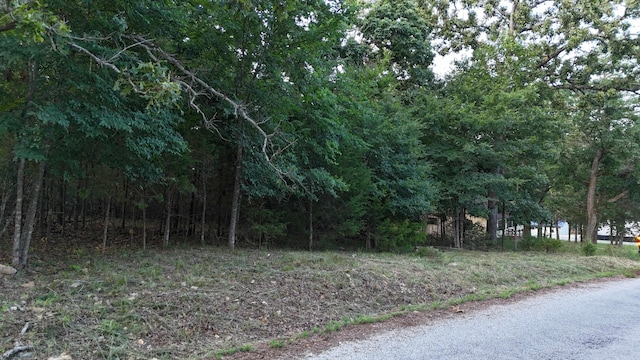 227 E Mockingbird Dr, Golden, MO 65658 - photo 1