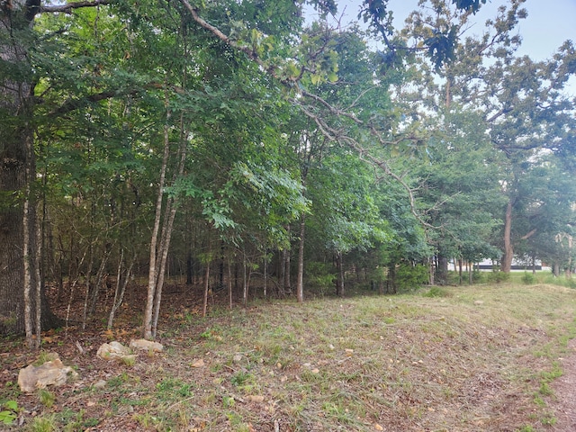227 E Mockingbird Dr, Golden, MO 65658 - photo 7