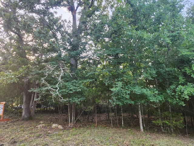 227 E Mockingbird Dr, Golden, MO 65658 - photo 4