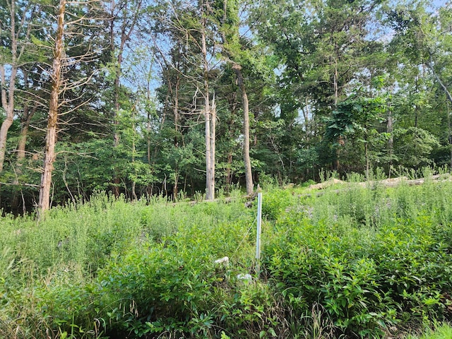 217 A Dr, Golden, MO 65658 - photo 7