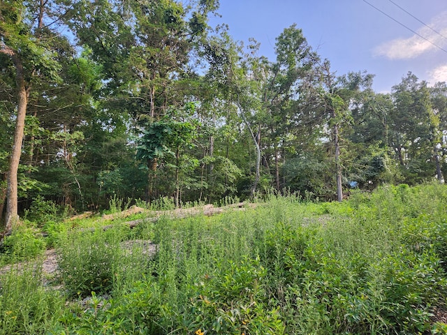 217 A Dr, Golden, MO 65658 - photo 10