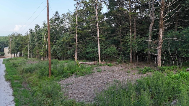 217 A Dr, Golden, MO 65658 - photo 5