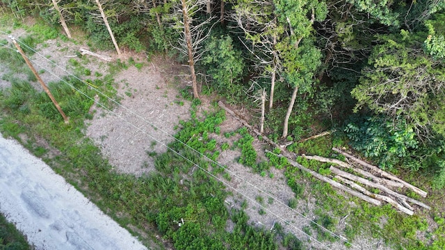 217 A Dr, Golden, MO 65658 - photo 15