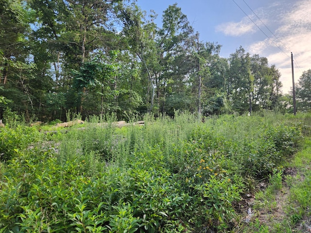 217 A Dr, Golden, MO 65658 - photo 2