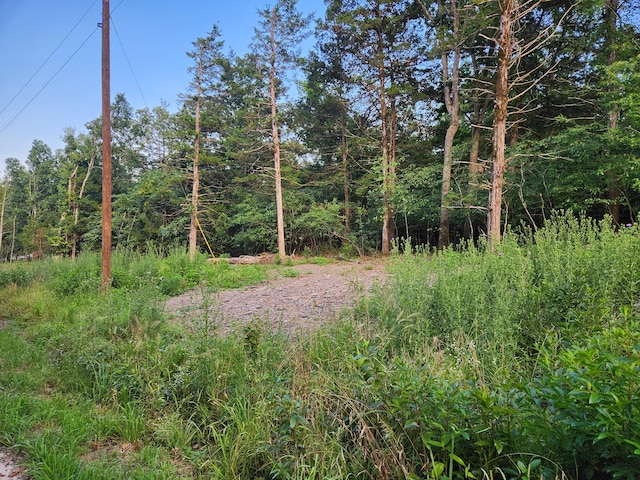 217 A Dr, Golden, MO 65658 - photo 8