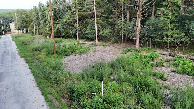 217 A Dr, Golden, MO 65658 - photo 1