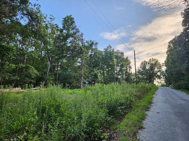 217 A Dr, Golden, MO 65658 - photo 9