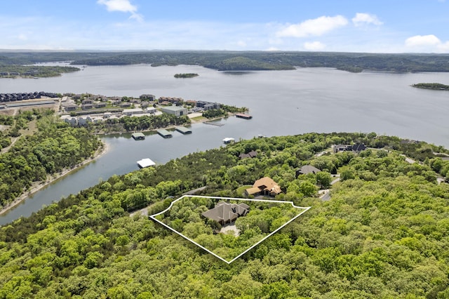 190 Highland Dr, Hollister, MO 65672 - photo 83