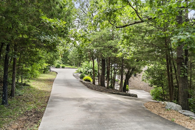 190 Highland Dr, Hollister, MO 65672 - photo 13