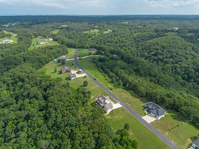 893 Hidden Springs Ln, Reeds Spring, MO 65737 - photo 70