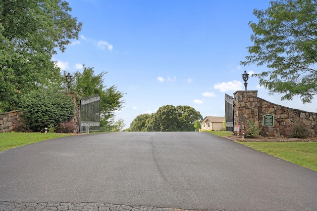 893 Hidden Springs Ln, Reeds Spring, MO 65737 - photo 71