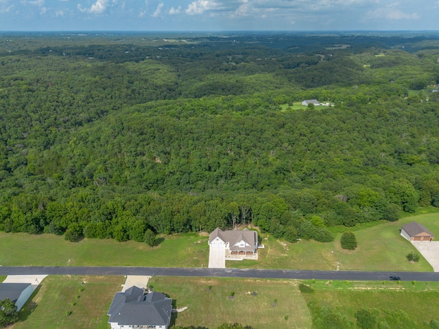 893 Hidden Springs Ln, Reeds Spring, MO 65737 - photo 69