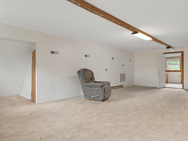 645 S Assisi Way, Republic, MO 65738 - photo 58