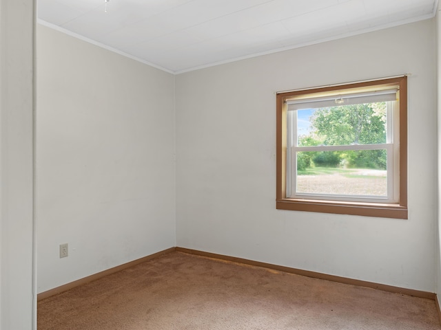 645 S Assisi Way, Republic, MO 65738 - photo 70