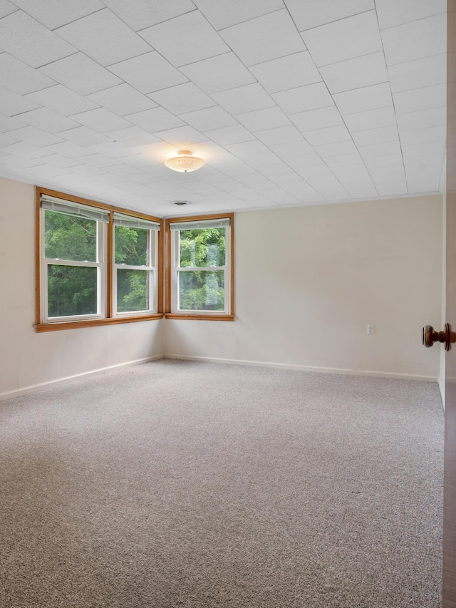 645 S Assisi Way, Republic, MO 65738 - photo 41
