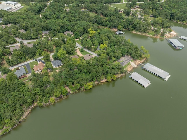 554 Mill Creek Shores Ln, Lampe, MO 65681 - photo 39