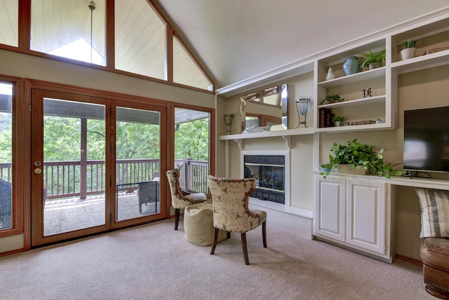 554 Mill Creek Shores Ln, Lampe, MO 65681 - photo 16