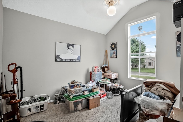 316 W Shawnee Ct, Clever, MO 65631 - photo 17