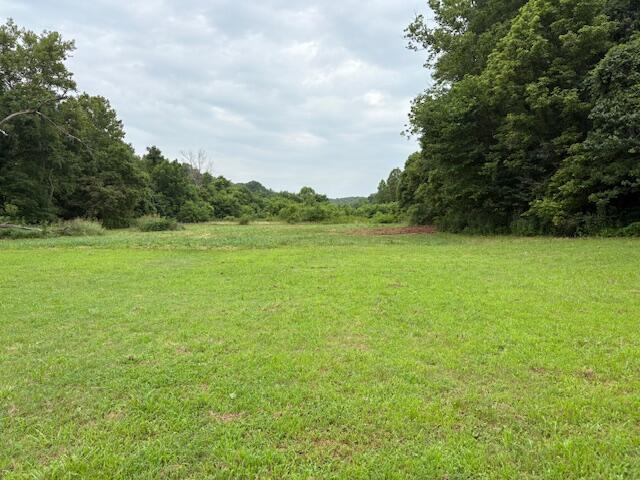 28778 Farm Rd Unit 1037, Washburn, MO 65772 - photo 38