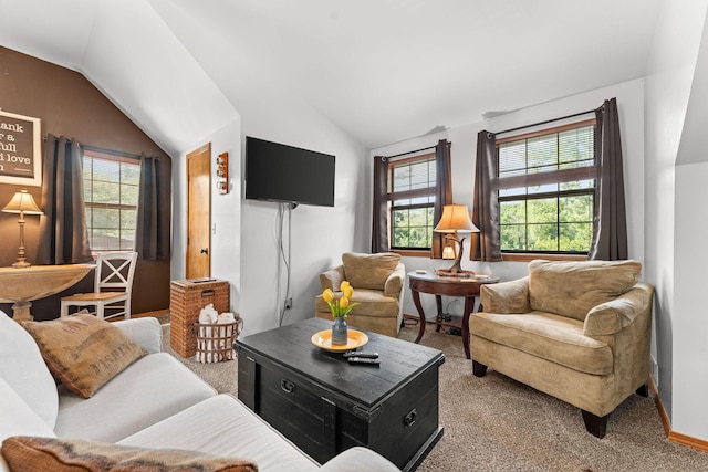 1356 Acacia Club Rd, Hollister, MO 65672 - photo 43