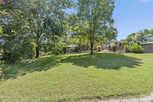 240 Avon Ln, Branson, MO 65616 - photo 41