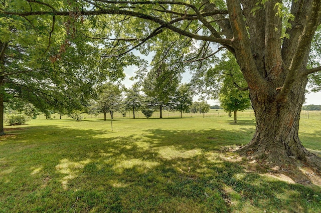 1259 Pine Dr, Mount Vernon, MO 65712 - photo 3