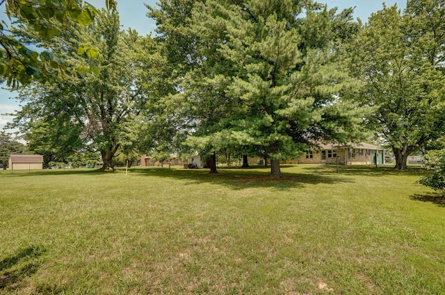 1259 Pine Dr, Mount Vernon, MO 65712 - photo 46
