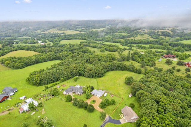 121 Stonehaven Dr, Fordland, MO 65652 - photo 41