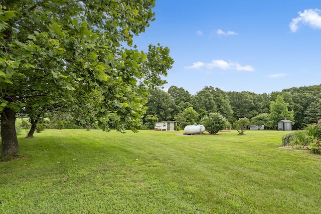 121 Stonehaven Dr, Fordland, MO 65652 - photo 29