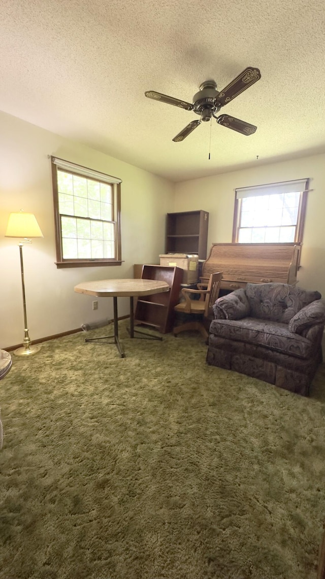 24037 County Road 287, Pittsburg, MO 65724 - photo 21