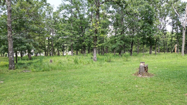 24037 County Road 287, Pittsburg, MO 65724 - photo 42