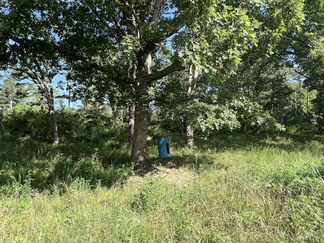 5089 County Road 4610, Pomona, MO 65789 - photo 50