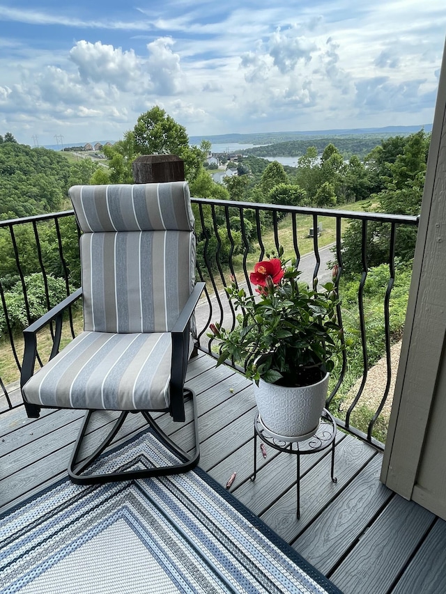 125 Splendor View Dr, Branson, MO 65616 - photo 28