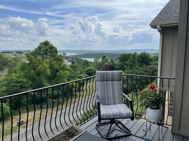 125 Splendor View Dr, Branson, MO 65616 - photo 24