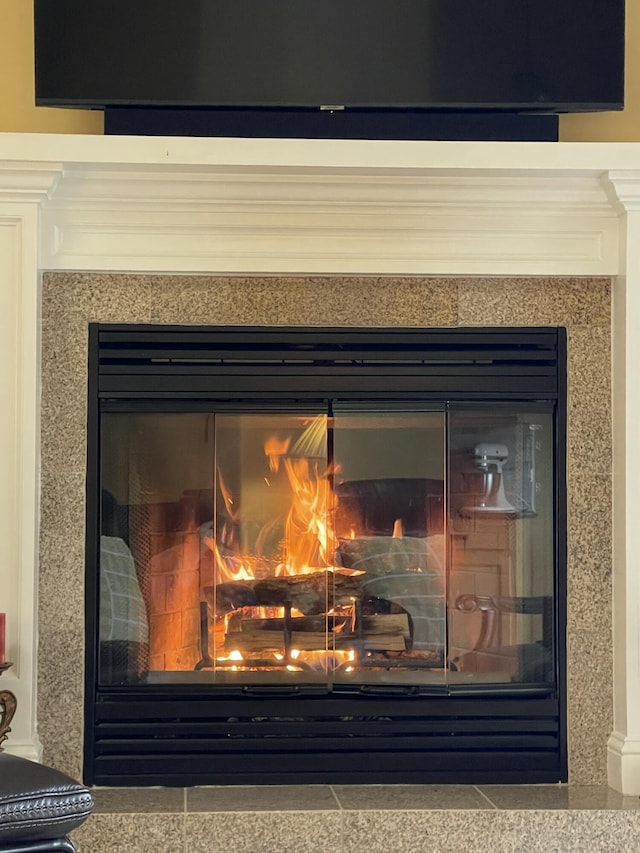 125 Splendor View Dr, Branson, MO 65616 - photo 13