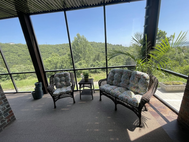 125 Splendor View Dr, Branson, MO 65616 - photo 63
