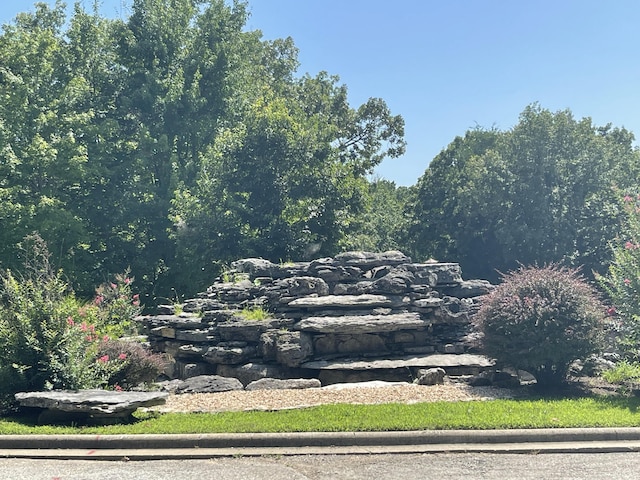 125 Splendor View Dr, Branson, MO 65616 - photo 84