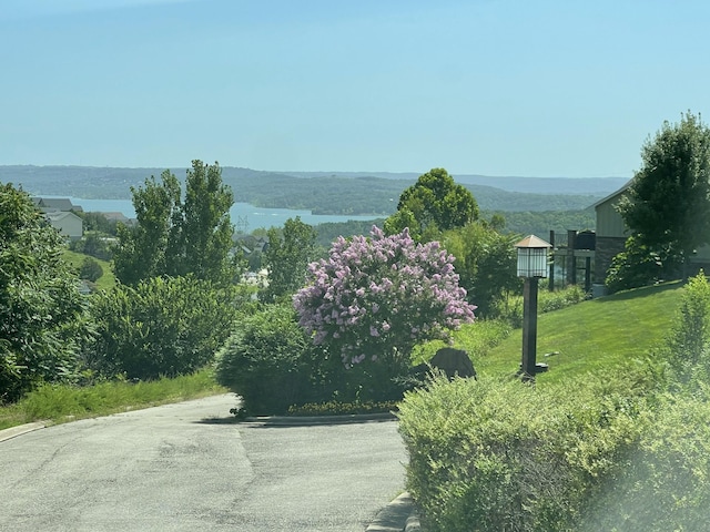125 Splendor View Dr, Branson, MO 65616 - photo 80