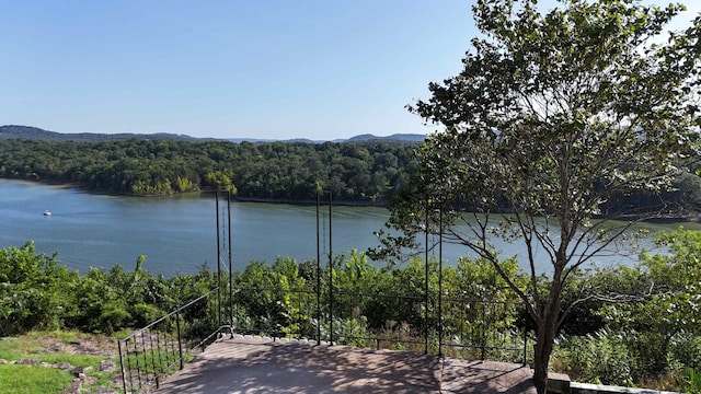 27229 Overlook Ln, Eagle Rock, MO 65641 - photo 16