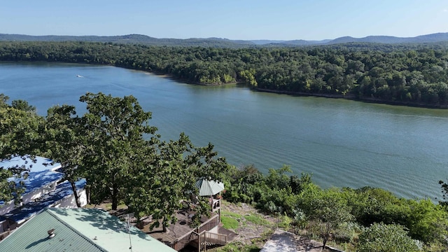 27229 Overlook Ln, Eagle Rock, MO 65641 - photo 9