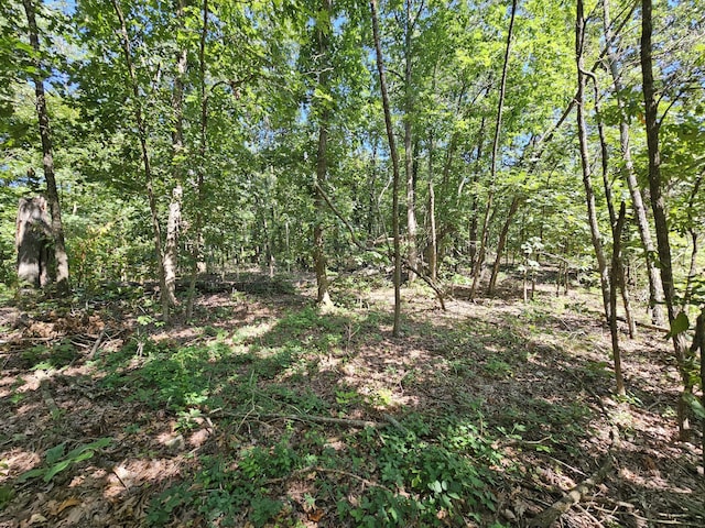 65ACRES Plainview Rd, Anderson, MO 64831 - photo 1